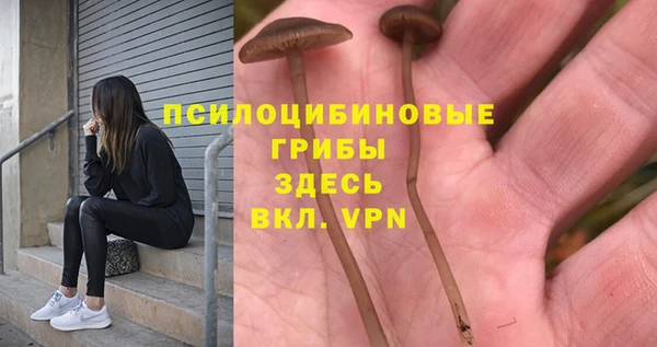 ALPHA PVP Михайлов