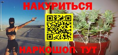 ALPHA PVP Гай