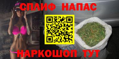 ALPHA PVP Гай